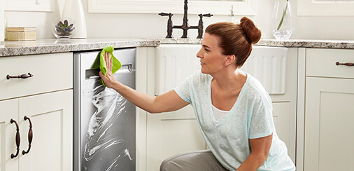 A woman sprays stainless steel cleaner on a dish washer.