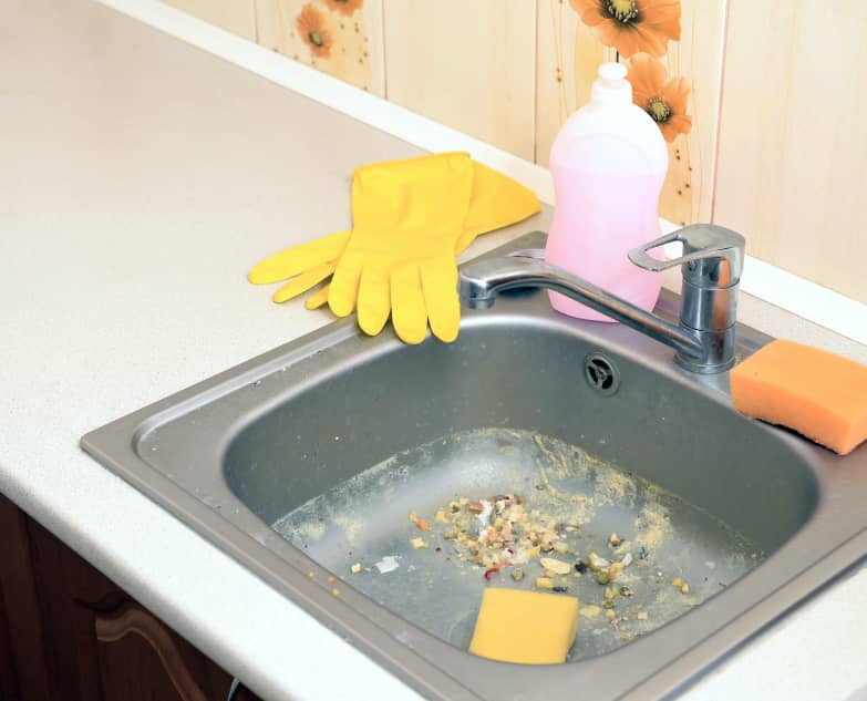 Food in sink