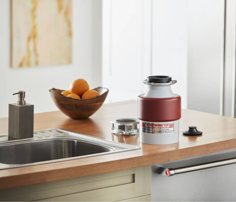 https://www.affresh.com/wp-content/uploads/2023/06/sink-disposal-on-countertop-compressed.jpg